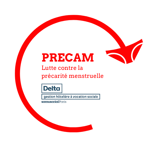 Logo Precam x Delta 